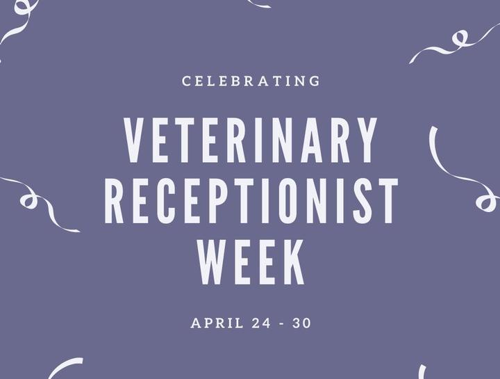Animal Hospital of Verona | Veterinary Receptionist Week